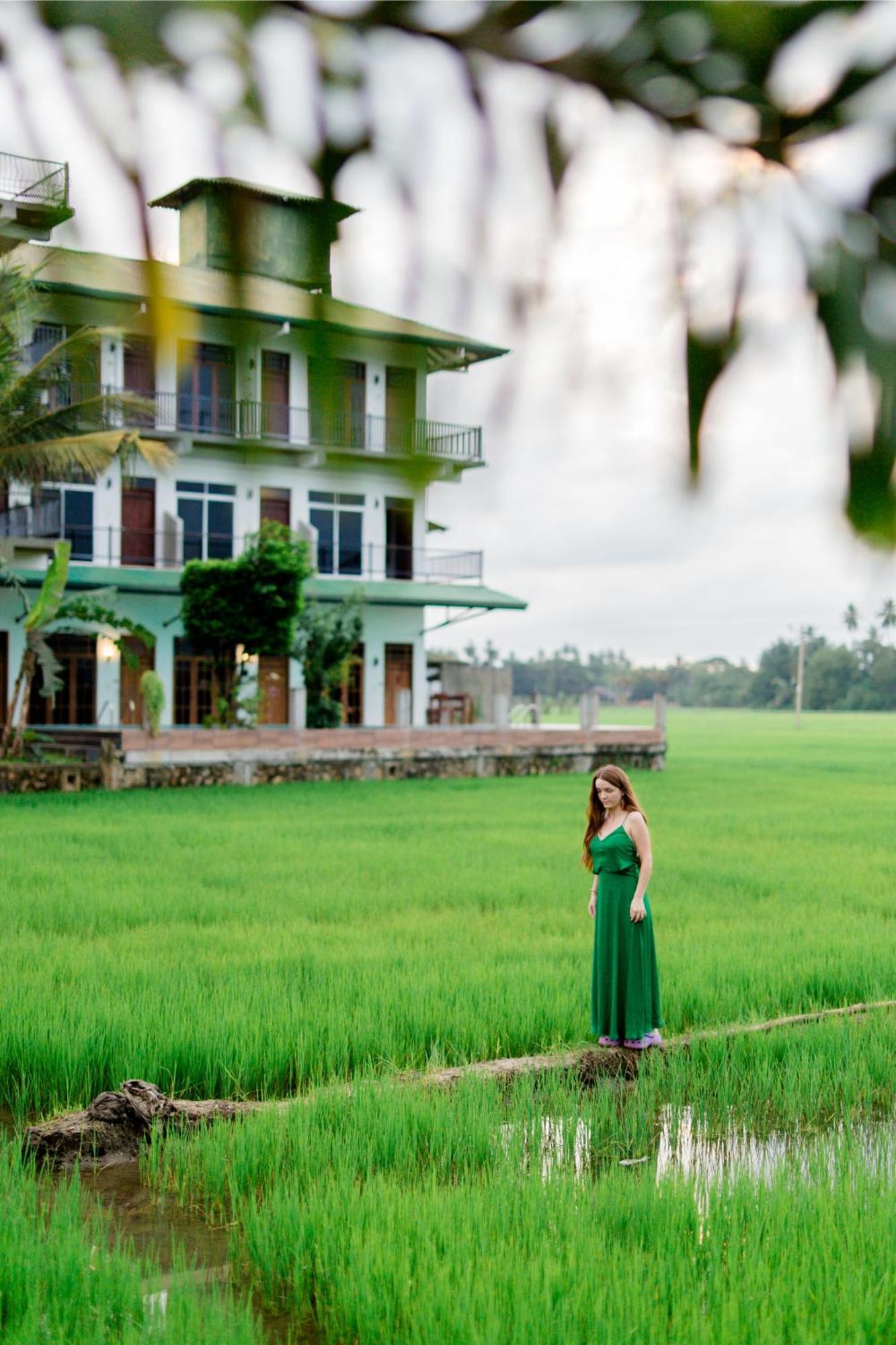 Serene Park Hotel By Ark Tissamaharama Exterior photo